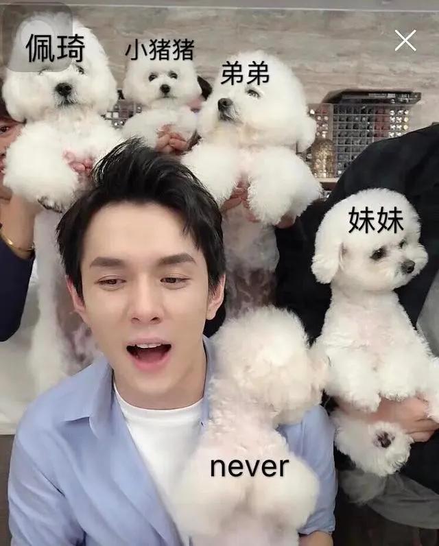 李佳琦Oh my god，買它買它 聲音商標申請為什么被駁回？